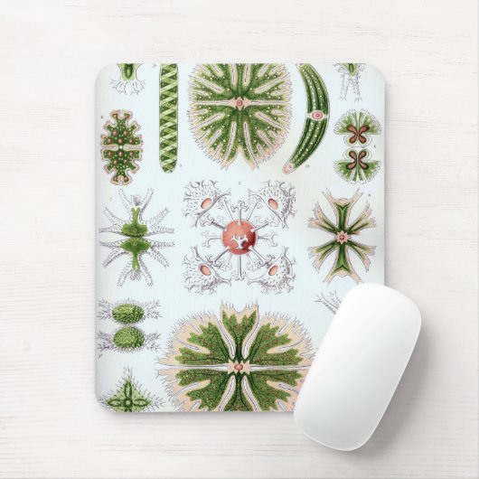 ヘイケル マウスパッド (マウス)