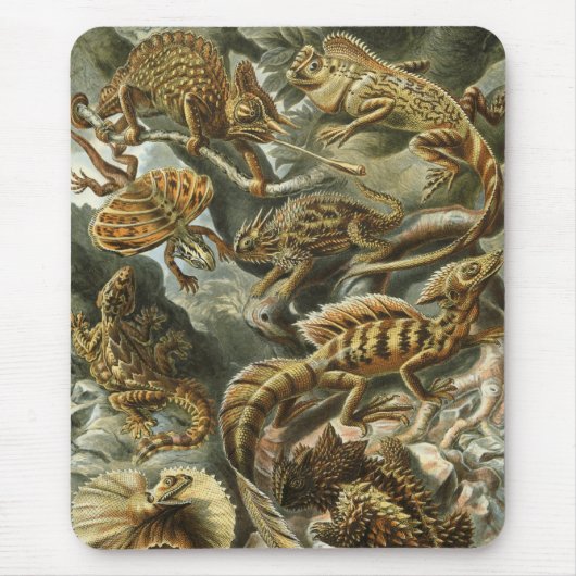 ヘイケル マウスパッド (正面)