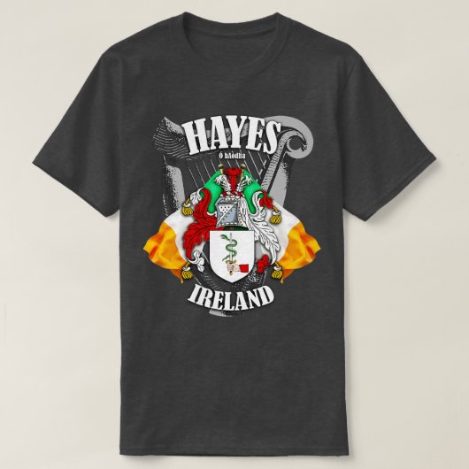 ヘイズファミリー名EnglishとIrish Tシャツ (デザイン正面)