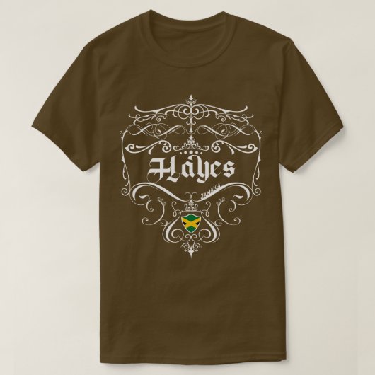 ヘイズヴィンテージデザイン1 Tシャツ (デザイン正面)