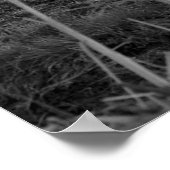 ヘイズ日プリント ポスター (角)