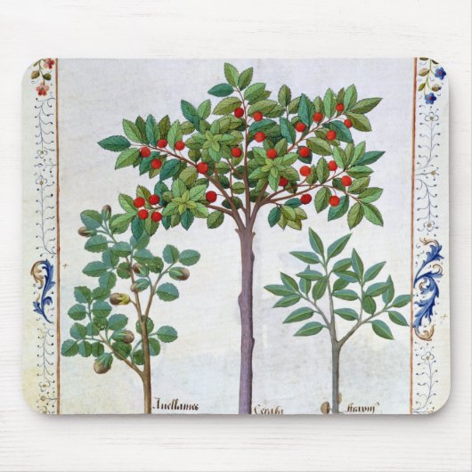 ヘイゼルナッツブッシュおよび桜 マウスパッド (正面)