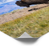 ヘイデン・バレー，イエローストーン ポスター (角)