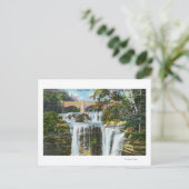 ヘイネス滝 ポストカード (スタンド正面)