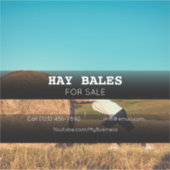 ヘイバレス販売会社の車広告両ステッカー シール (正面)