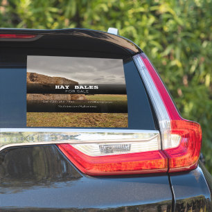 ヘイバレス販売会社の車広告両ステッカー シール