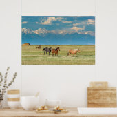 ヘイフィールドの馬について ポスター (キッチン)