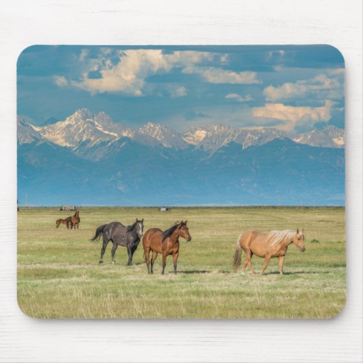 ヘイフィールドの馬について マウスパッド (正面)