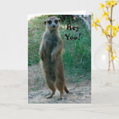 ヘイユーメルカート誕生日カード カード (黄色い花)