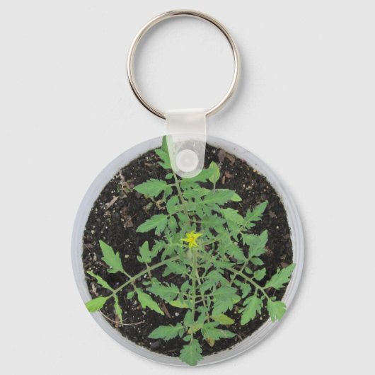 ヘイルームのトマト植物の平和サイン キーホルダー (正面)
