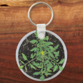 ヘイルームのトマト植物の平和サイン キーホルダー (正面)
