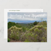 ヘイワードからの挨拶!ポストカード ポストカード (正面/裏面)