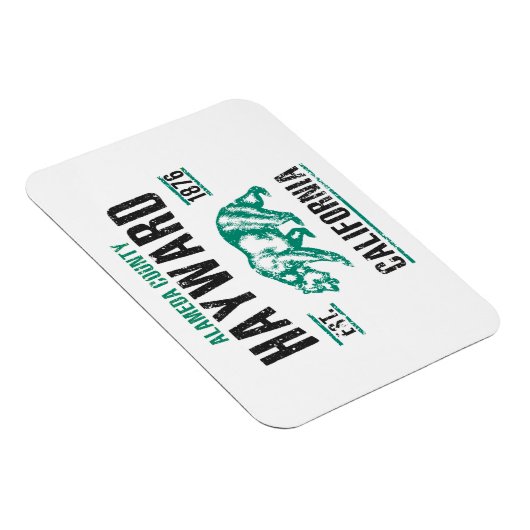 ヘイワード マグネット (右側)