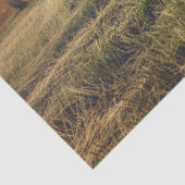 ヘイ素朴バレスのデコページ付きトラクター 薄葉紙 (詳細)