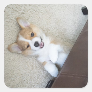 ヘイ・ガール スクエアシール