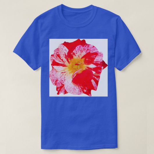 ヘイ・ソウルシスター Tシャツ (デザイン正面)