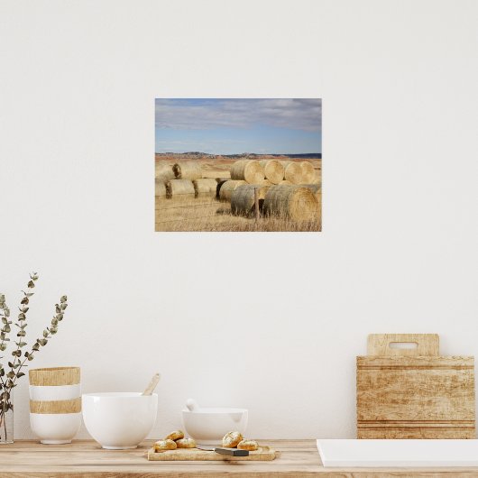 ヘイ・バレス州クロック郡 ポスター (キッチン)