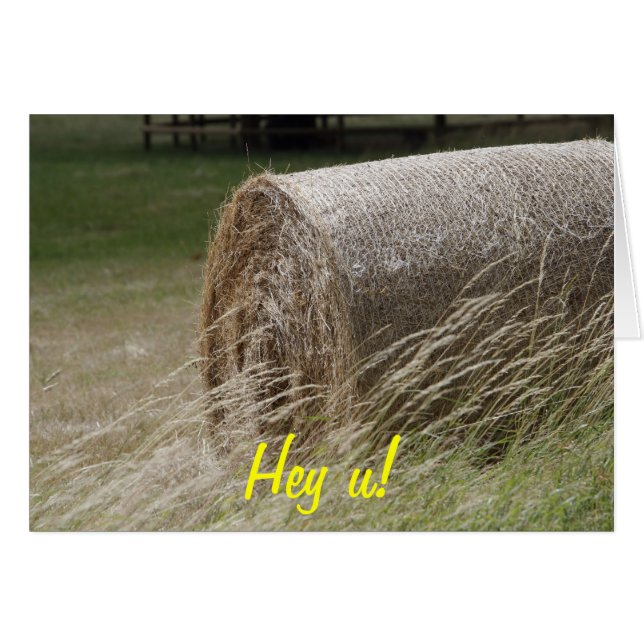 ヘイ・バレス母のデイカード。おい！ (正面横)