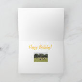 ヘイ・バレス カード (内部)