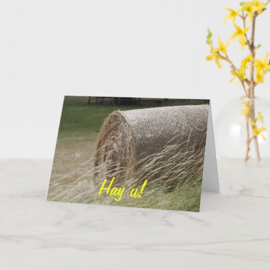 ヘイ・バレス カード (黄色い花)