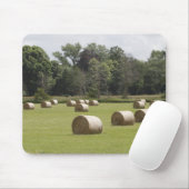 ヘイ・バレス マウスパッド (マウス)