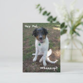 ヘイ・パル、ワザップ?!ポストカード ポストカード (スタンド正面)