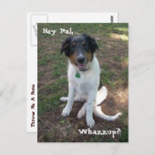 ヘイ・パル、ワザップ?!ポストカード ポストカード (正面/裏面)