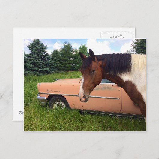 ヘイ！ ポストカード (正面/裏面)