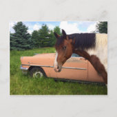 ヘイ! ポストカード (正面)