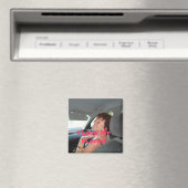 ヘイ マグネット (インサイチュ (食洗機))