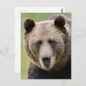 ヘイ・ユー・ベアー ポストカード (正面/裏面)