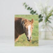 ヘエヤ、ドクは何だ ポストカード (スタンド正面)