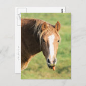 ヘエヤ、ドクは何だ ポストカード (正面/裏面)