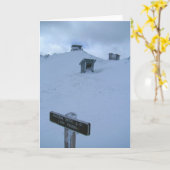 ヘガー・トン火災見張り カード (黄色い花)