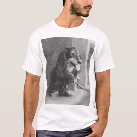 ヘクスリー Tシャツ (正面)