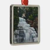 ヘクターはseneca湖の眺めの近くでころびます メタルオーナメント (右)