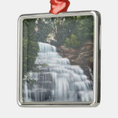 ヘクターはseneca湖の眺めの近くでころびます メタルオーナメント (左)