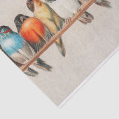 ヘクトール・ジャコメリによる鳥の群れ 薄葉紙 (詳細)