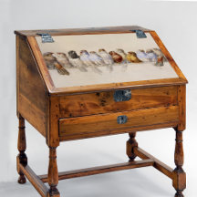 ヘクトール・ジャコメリによる鳥の群れ(1880)