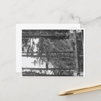 ヘケタヘッドライトハウスポストカードb&w ポストカード