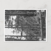 ヘケタヘッドライトハウスポストカードb&w ポストカード (正面)