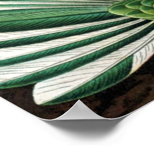 ヘケルの鳥 ポスター (角)