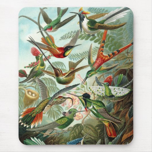 ヘケルの鳥 マウスパッド (正面)