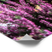 ヘザーとベリー ポスター (角)