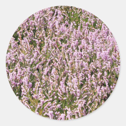 ヘザーの花の美しいビュー ラウンドシール (正面)