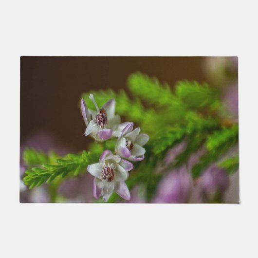 ヘザー春の花の常緑開花紫色の白 ドアマット (正面)