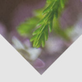 ヘザー春の花の常緑開花紫色の白 薄葉紙 (詳細)