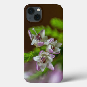 ヘザー春の花の常緑開花紫色の白 iPhone 13ケース