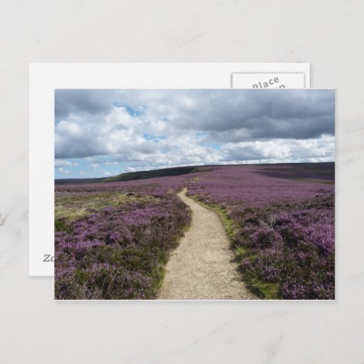 ヘザー ポストカード (正面/裏面)