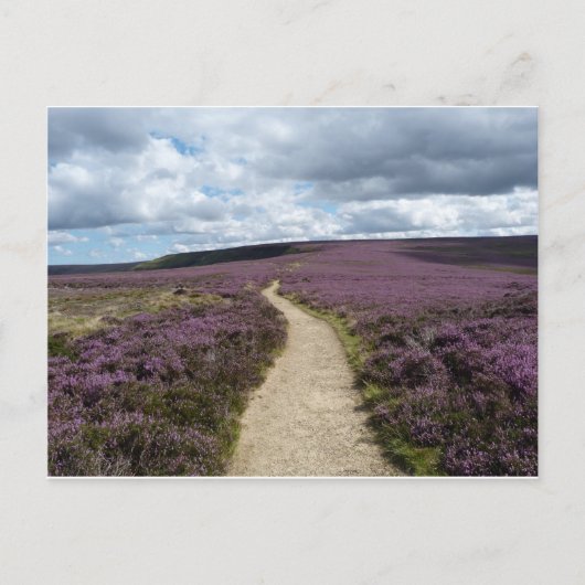 ヘザー ポストカード (正面)